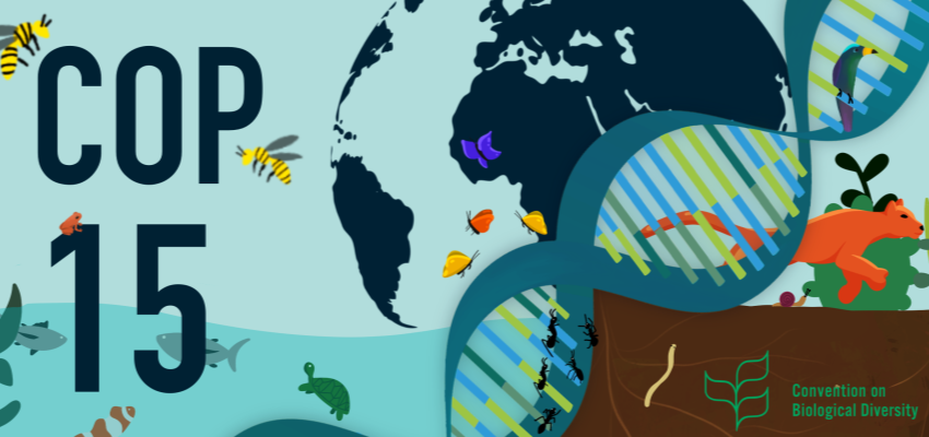 15e COP sur la diversité biologique @ Montréal | Montréal | Québec | Canada