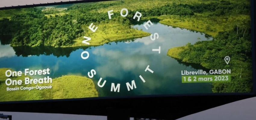 One Forest Summit de Libreville @ Radisson Blu | Libreville | Estuaire | Gabon
