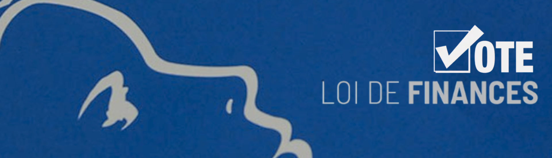 Slider Loi de finance- vote CMP. png